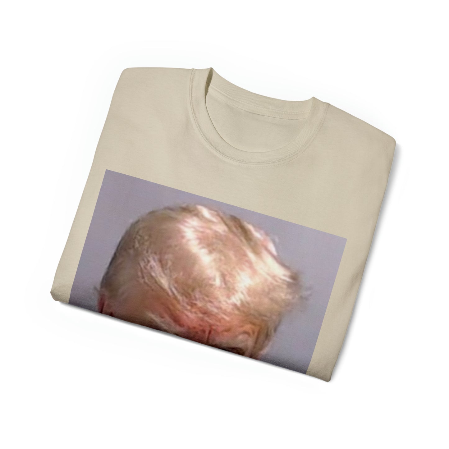 The Official Donald Trump Mugshot